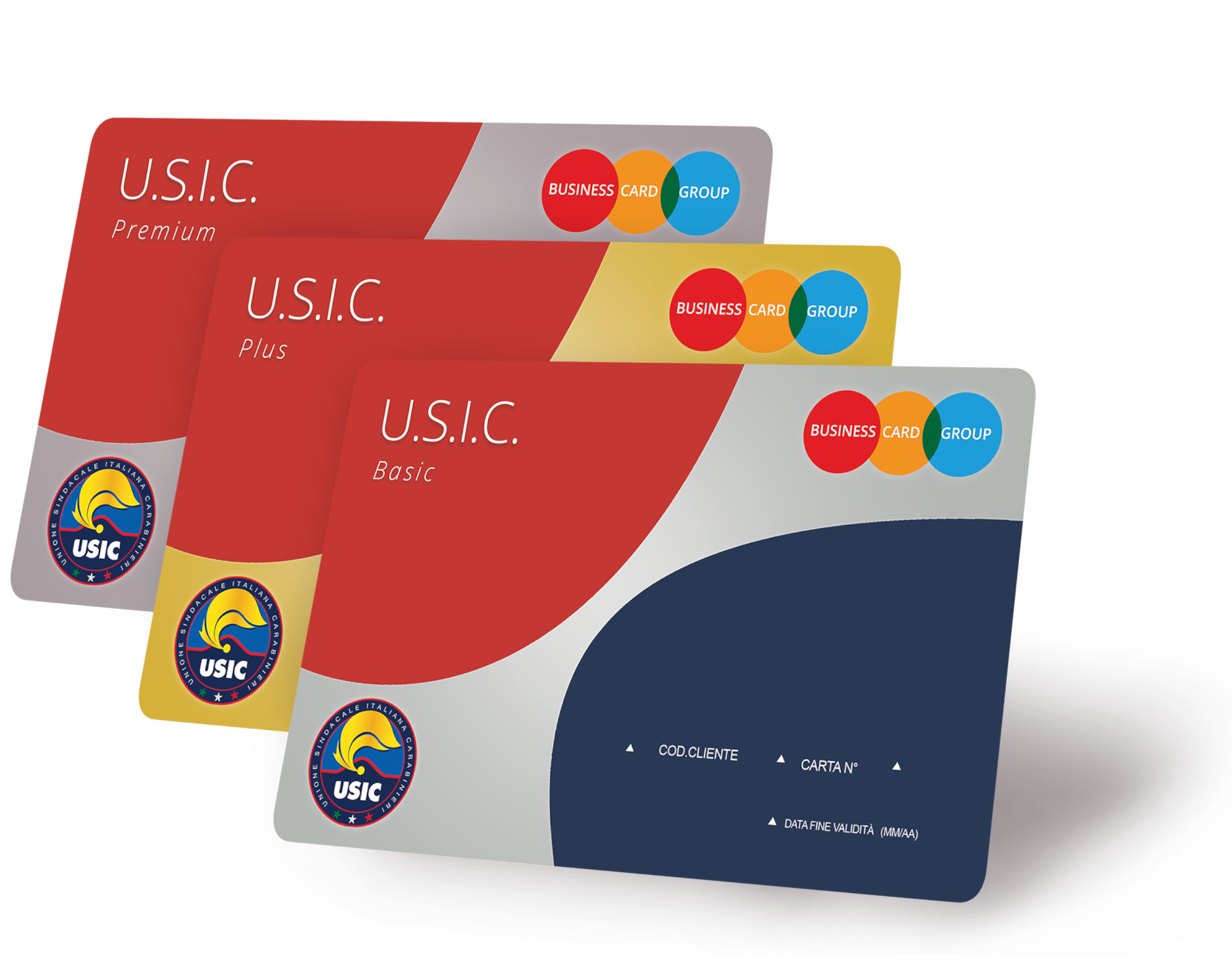 Business Card U.S.I.C. Basic, Plus, Premium